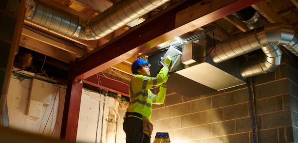 Best Air Duct Mold Removal  in Greenville, PA