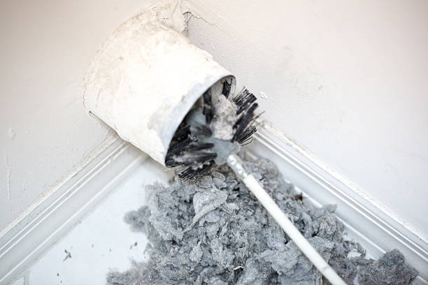 Air Duct Mold Removal in PA